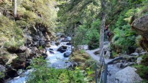 Riesach Klamm Mentales Bergwandern